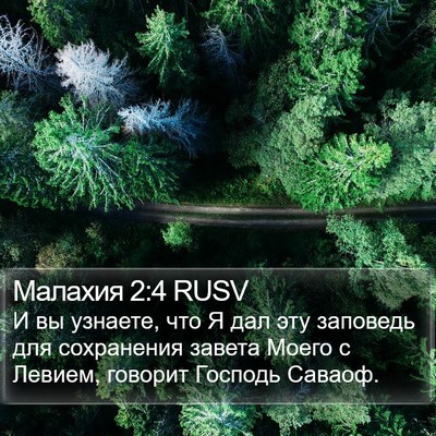 Малахия 2:4 RUSV Bible Verse Image