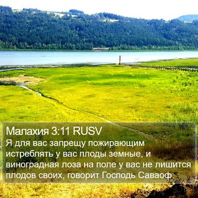 Малахия 3:11 RUSV Bible Verse Image