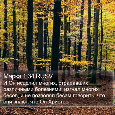 Марка 1:34 RUSV Bible Verse Image