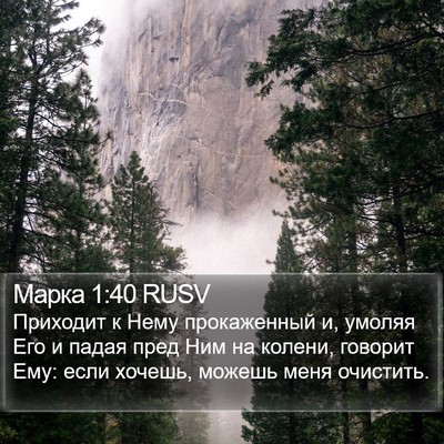 Марка 1:40 RUSV Bible Verse Image