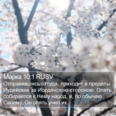 Марка 10:1 RUSV Bible Verse Image