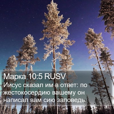 Марка 10:5 RUSV Bible Verse Image