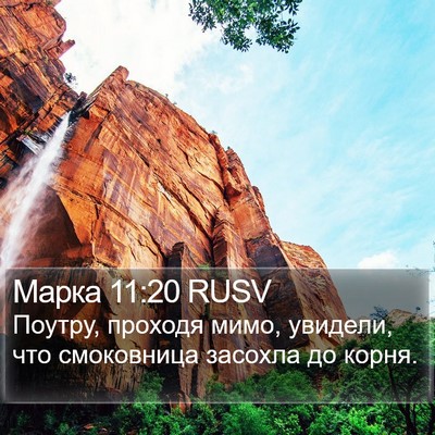 Марка 11:20 RUSV Bible Verse Image