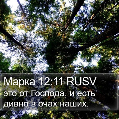 Марка 12:11 RUSV Bible Verse Image