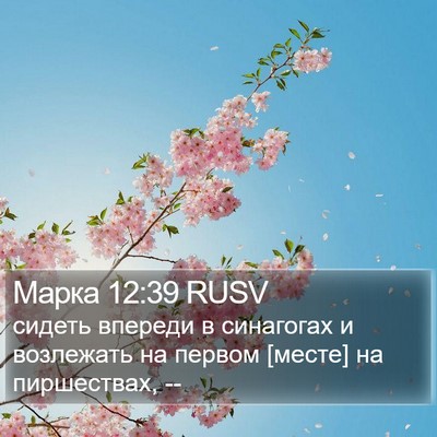 Марка 12:39 RUSV Bible Verse Image