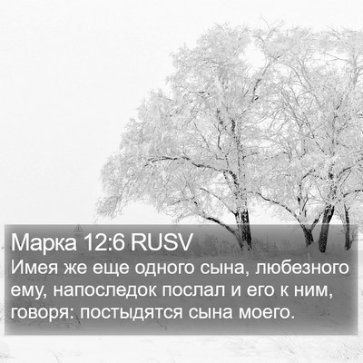 Марка 12:6 RUSV Bible Verse Image