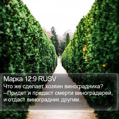 Марка 12:9 RUSV Bible Verse Image