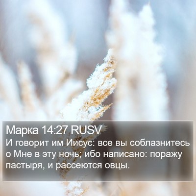 Марка 14:27 RUSV Bible Verse Image