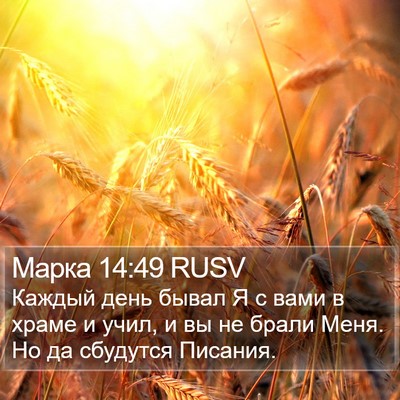Марка 14:49 RUSV Bible Verse Image