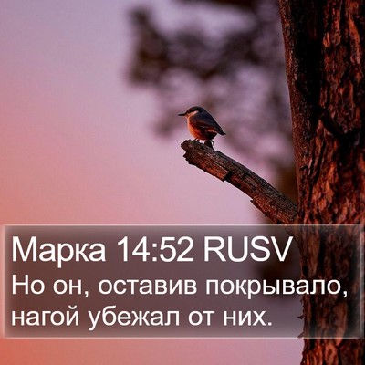 Марка 14:52 RUSV Bible Verse Image