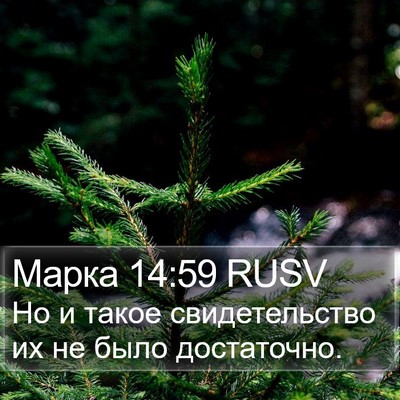 Марка 14:59 RUSV Bible Verse Image
