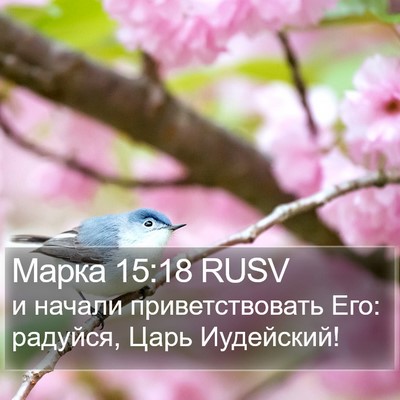 Марка 15:18 RUSV Bible Verse Image