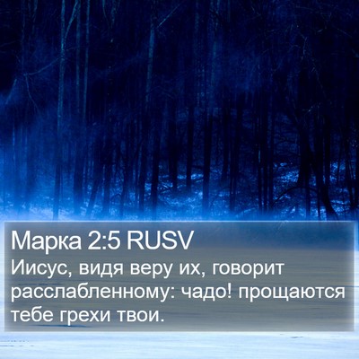 Марка 2:5 RUSV Bible Verse Image