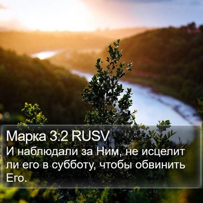 Марка 3:2 RUSV Bible Verse Image