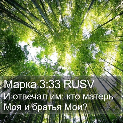 Марка 3:33 RUSV Bible Verse Image
