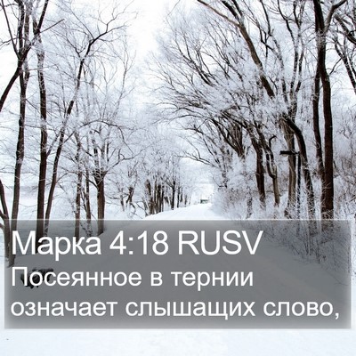 Марка 4:18 RUSV Bible Verse Image