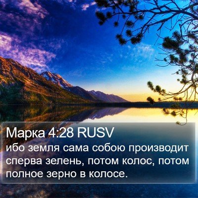 Марка 4:28 RUSV Bible Verse Image