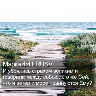 Марка 4:41 RUSV Bible Verse Image