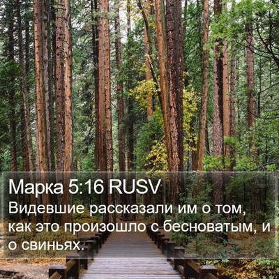 Марка 5:16 RUSV Bible Verse Image