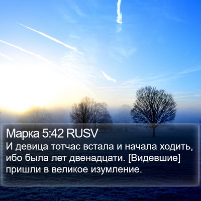 Марка 5:42 RUSV Bible Verse Image