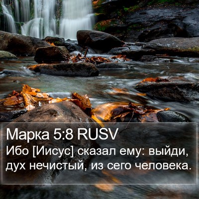 Марка 5:8 RUSV Bible Verse Image