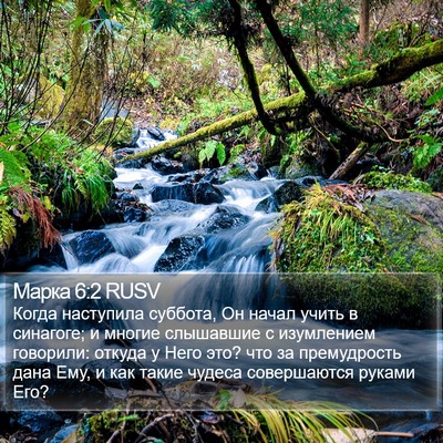 Марка 6:2 RUSV Bible Verse Image