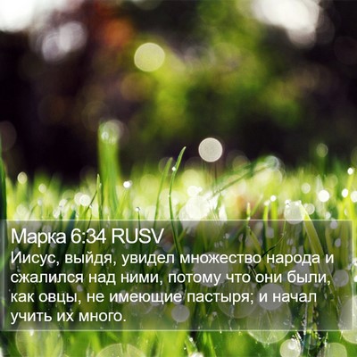 Марка 6:34 RUSV Bible Verse Image