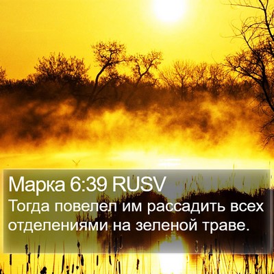 Марка 6:39 RUSV Bible Verse Image