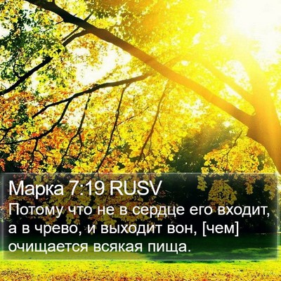 Марка 7:19 RUSV Bible Verse Image