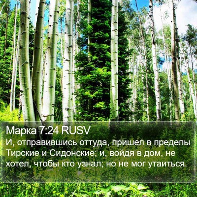 Марка 7:24 RUSV Bible Verse Image
