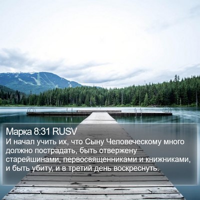 Марка 8:31 RUSV Bible Verse Image