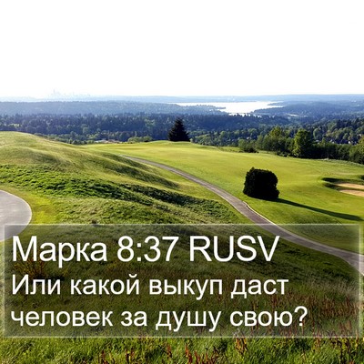 Марка 8:37 RUSV Bible Verse Image