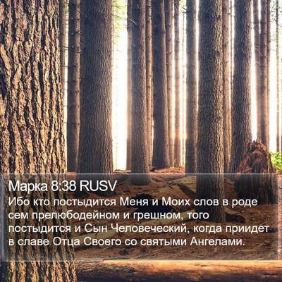 Марка 8:38 RUSV Bible Verse Image