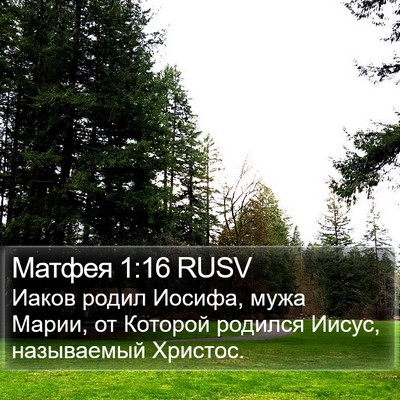 Матфея 1:16 RUSV Bible Verse Image