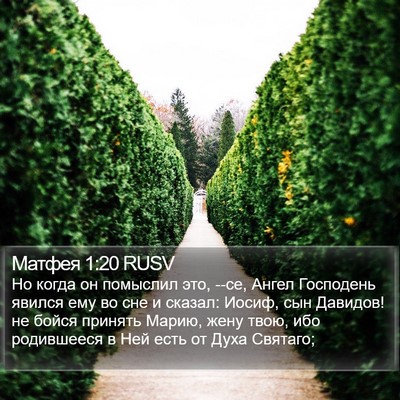 Матфея 1:20 RUSV Bible Verse Image