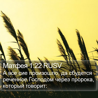 Матфея 1:22 RUSV Bible Verse Image