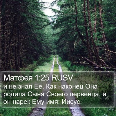 Матфея 1:25 RUSV Bible Verse Image