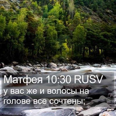 Матфея 10:30 RUSV Bible Verse Image