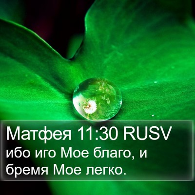 Матфея 11:30 RUSV Bible Verse Image