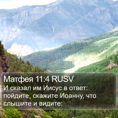 Матфея 11:4 RUSV Bible Verse Image