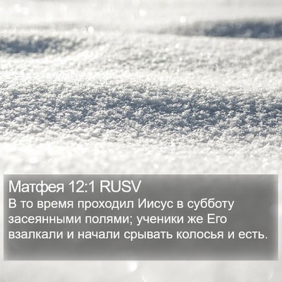Матфея 12:1 RUSV Bible Verse Image