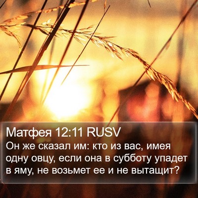 Матфея 12:11 RUSV Bible Verse Image
