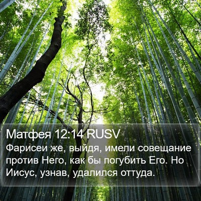 Матфея 12:14 RUSV Bible Verse Image