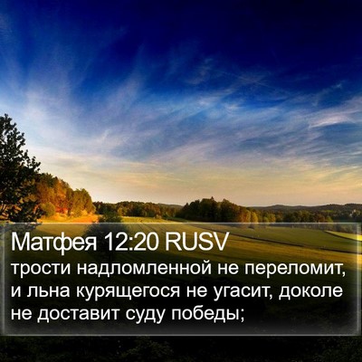 Матфея 12:20 RUSV Bible Verse Image