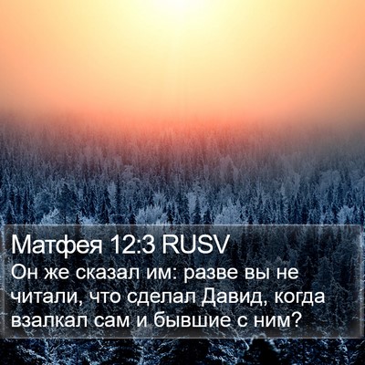 Матфея 12:3 RUSV Bible Verse Image