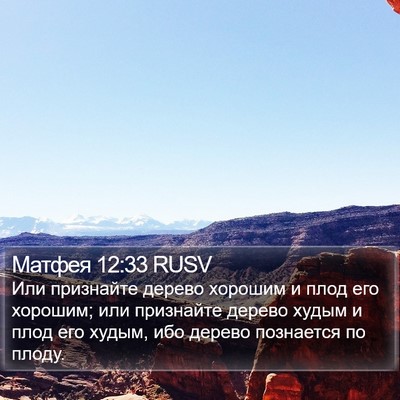 Матфея 12:33 RUSV Bible Verse Image