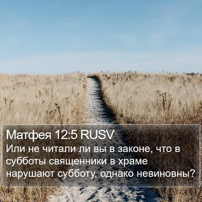 Матфея 12:5 RUSV Bible Verse Image