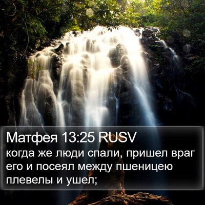 Матфея 13:25 RUSV Bible Verse Image