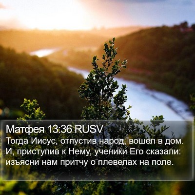 Матфея 13:36 RUSV Bible Verse Image