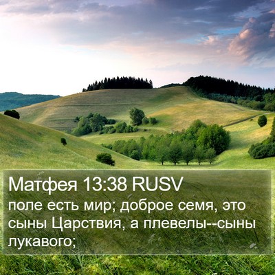 Матфея 13:38 RUSV Bible Verse Image